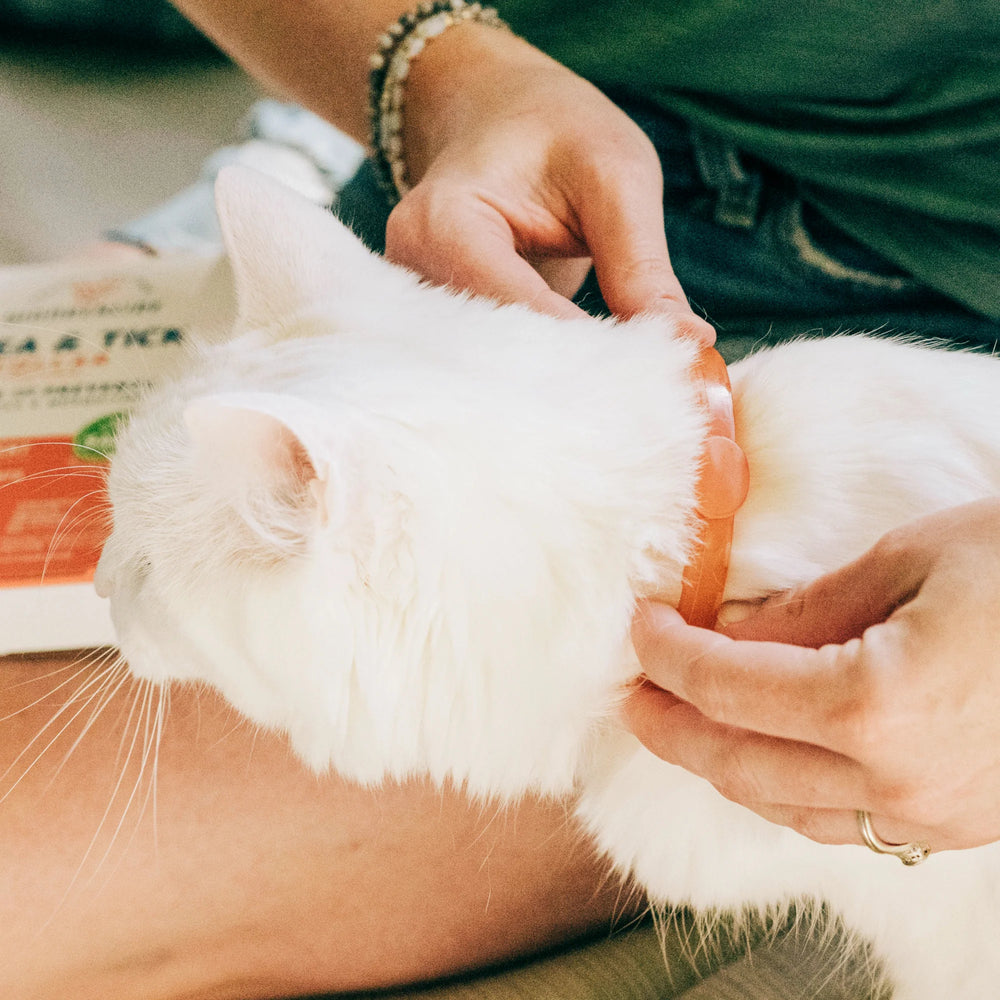 Flea & Tick Collar for Dogs + Cats with Natural Essential Oils